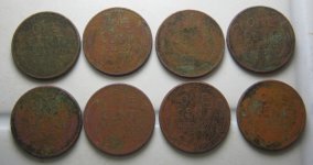 Wheats 4-4.JPG