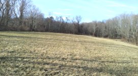 colonial-field-2.jpg