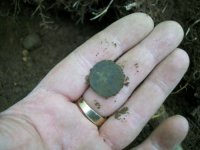 MAY 9TH CELLAR HOLE WITH GARY 004 [].jpg