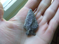 DSCF3115.JPG.png
