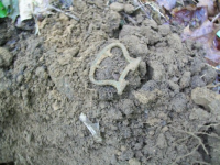 MAY 12TH SHORT CELLAR HOLE WITH FORINO 002 [].jpg.png