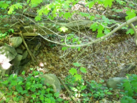 MAY 13TH SHORT SOLO CELLAR HOLE 001 [].jpg.png