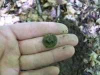 MAY 13TH SHORT SOLO CELLAR HOLE 005 [].jpg.png