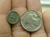 05-15-10 button, buffalo.jpg