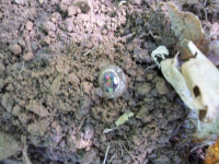 MAY 22nd  CELLAR HOLE with RON 001 [].jpg.png