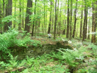 MAY 22nd  CELLAR HOLE with RON 009 [].jpg.png