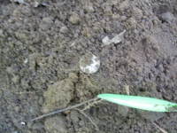 MAY 22nd  CELLAR HOLE with RON 013 [].jpg.png