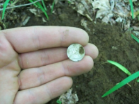 MAY 22nd  CELLAR HOLE with RON 014 [].jpg.png