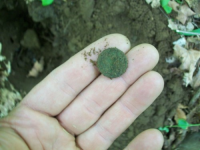 MAY 22nd  CELLAR HOLE with RON 015 [].jpg.png