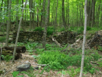 MAY 22nd  CELLAR HOLE with RON 017 [].jpg.png