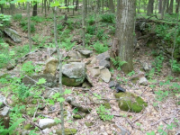 MAY 22nd  CELLAR HOLE with RON 018 [].jpg.png