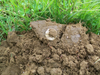 MAY 22nd  CELLAR HOLE with RON 020 [].jpg.png