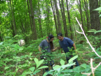 MAY 29th CELLAR HOLES with Dan and G 008 [].jpg.png