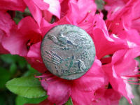 P5260045.JPG.png