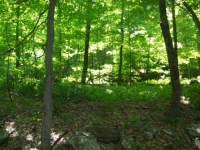 MAY 30th CELLAR HOLES with RON 002 [].jpg.png