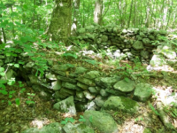 MAY 30th CELLAR HOLES with RON 005 [].jpg.png