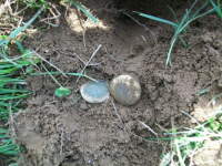 MAY 30th CELLAR HOLES with RON 006 [].jpg.png