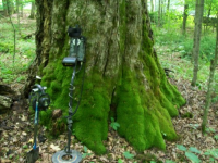 JUNE 5TH AND 6TH CELLAR HOLE HUNTS 007 [].jpg.png