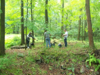 JUNE 5TH AND 6TH CELLAR HOLE HUNTS 017 [].jpg.png