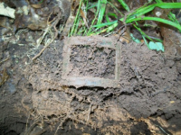 JUNE 5TH AND 6TH CELLAR HOLE HUNTS 018 [].jpg.png