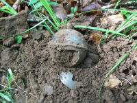 JUNE 5TH AND 6TH CELLAR HOLE HUNTS 019 [].jpg.png