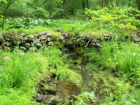JUNE 5TH AND 6TH CELLAR HOLE HUNTS 020 [].jpg.png