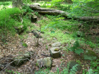 JUNE 5TH AND 6TH CELLAR HOLE HUNTS 023 [].jpg.png