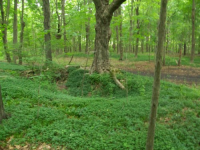 JUNE 12TH WEEKEND HUNT SEATED DIME 003 [].jpg.png