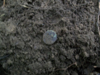 JUNE 12TH WEEKEND HUNT SEATED DIME 010 [].jpg.png