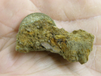 06-17-10 E Trac Iron -1.jpg.png
