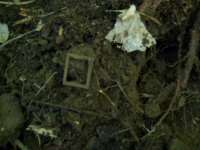JUNE 19TH CELLAR HOLE WITH FRANK AND PAUL 003 [].jpg.png