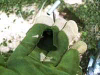 JUNE 19TH CELLAR HOLE WITH FRANK AND PAUL 007 [].jpg.png