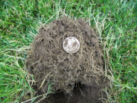JUNE 19TH CELLAR HOLE WITH FRANK AND PAUL 010 [].jpg.png