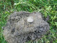 JUNE 21st  OLD CHURCH GREEN SILVER 008 [].jpg.png