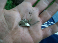 JUNE 21st  OLD CHURCH GREEN SILVER 017 [].jpg.png