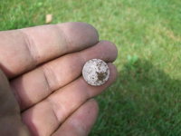 JUNE 23rd OLD CHURCH GREEN  SEATED SILVER 009 [].jpg.png