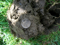 JUNE 23rd OLD CHURCH GREEN  SEATED SILVER 012 [].jpg.png