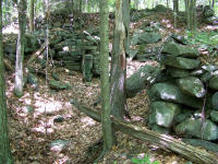 hthrd brn 1st site.JPG.png