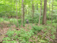 JUNE 26th OLD  CELLAR HOLES with paul and frank 017 [].jpg.png