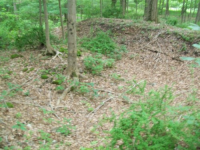 JUNE 26th OLD  CELLAR HOLES with paul and frank 016 [].jpg.png