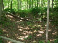 JUNE 26th OLD  CELLAR HOLES with paul and frank 006 [].jpg