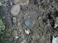 JUNE 26th OLD  CELLAR HOLES with paul and frank 014 [].jpg.png