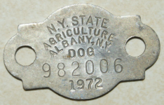 DSC05579.JPG.png