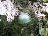JUNE 29TH CELLAR HOLE WITH PAUL 001 [].jpg.png