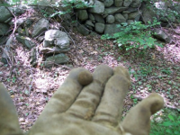 JUNE 29TH CELLAR HOLE WITH PAUL 006 [].jpg.png