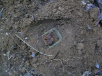 JUNE 29TH CELLAR HOLE WITH PAUL 008 [].jpg.png