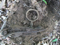 JUNE 29TH CELLAR HOLE WITH PAUL 009 [].jpg.png