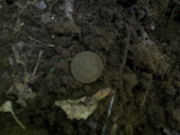 JULY 23RD  CELLAR HOLE WITH RON 001 [].jpg.png