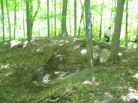 JULY 4TH HUNT WITH FRANK 1794 LARGE CENT 008 [].jpg.png