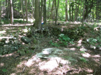 JULY 5TH HUNT WITH FRANK DRAPED BUST LARGE CENT 001 [].jpg.png
